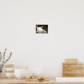Die Katze und die Fliege Poster (Küche)