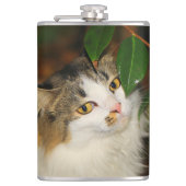 Die Katze und die Kamelie Flachmann (Vorderseite)