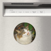 Die Katze und die Kamelie Magnet (In Situ (Geschirrspüler))
