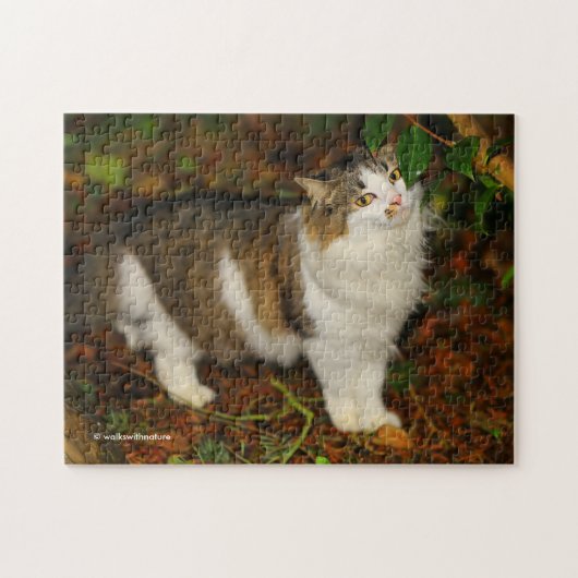 Die Katze und die Kamelie Puzzle (Horizontal)