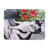 Die Katze und die Pupien Magnet (Horizontal)