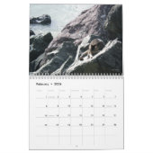 Die Katzen der Alten San Juan, Kalender 2017 (Feb 2026)