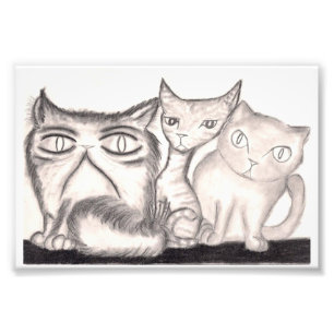 Die Katzen Fotodruck