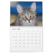Die Katzen im Kinderwagen 2014 Kalender (Mär 2026)