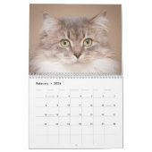 Die Katzen im Kinderwagen 2014 Kalender (Feb 2026)
