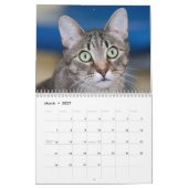 Die Katzen im Kinderwagen 2014 Kalender (Mär 2027)