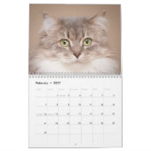 Die Katzen im Kinderwagen 2014 Kalender (Feb 2027)
