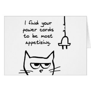 Die Katzen-Lieben, die Power-Schnüre - lustige