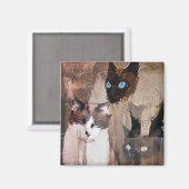 Die Katzen Magnet (Vorderseite/Rückseite)