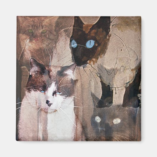 Die Katzen Magnet (Vorne)