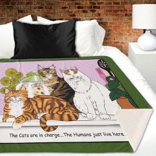 Die Katzen sind im Preis Sherpadecke