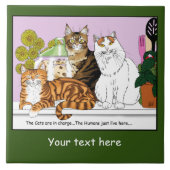 Die Katzen sind verantwortlich Fliese (Vorderseite)
