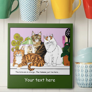 Die Katzen sind verantwortlich Fliese