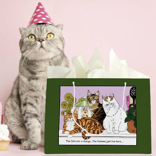 Die Katzen sind verantwortlich Große Geschenktüte