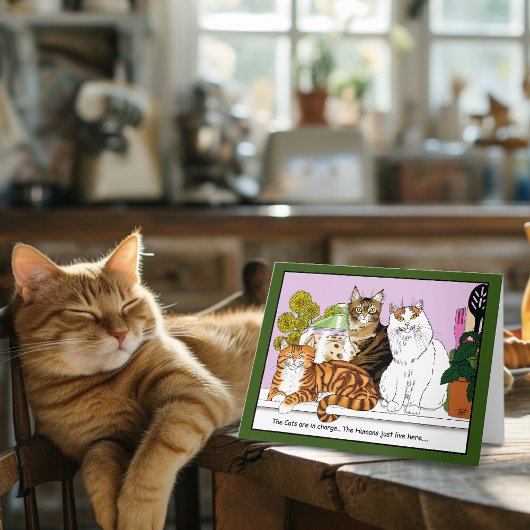 Die Katzen sind verantwortlich Karte