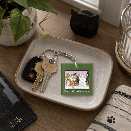 Die Katzen sind verantwortlich Schlüsselanhänger