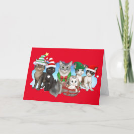 Die Katzen und die Crew Weihnachtskarte 5" x 7" Feiertagskarte