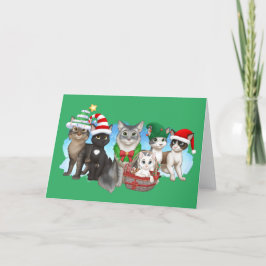 Die Katzen und die Crew Weihnachtskarte 5" x 7" Feiertagskarte