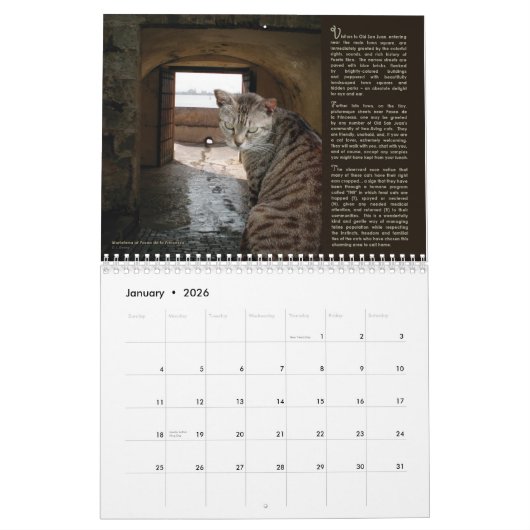 Die Katzen von altem San Juan, Kalender 2016 (Jan 2026)
