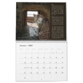 Die Katzen von altem San Juan, Kalender 2016 (Jan 2027)