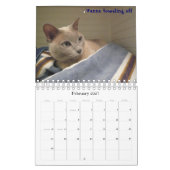 Die Katzen von Swede Hill, 2009 Kalender (Feb 2027)