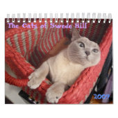 Die Katzen von Swede Hill, 2009 Kalender (Titelbild)