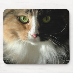 Die Katzenaugen Mousepad