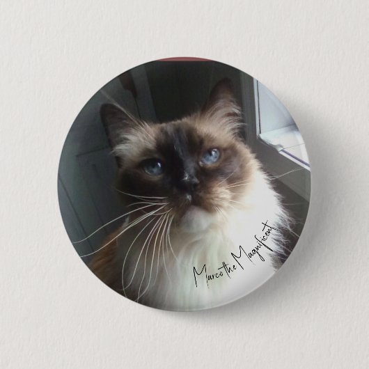 Die Katzenaugen-Schaltfläche zeigt Marco den Präch Button (Vorderseite)