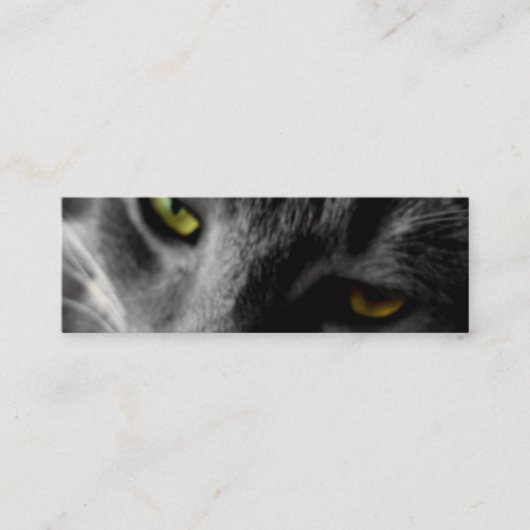 Die Katzenaugen-Visitenkarten Mini Visitenkarte (Vorderseite)