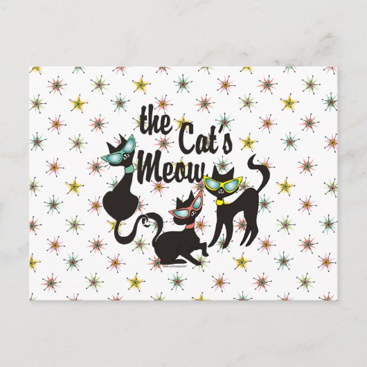 Die Katzenunterschiede Postkarte (Vorderseite)