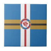 Die Keramik der Roten Löwen Fliese (Vorderseite)