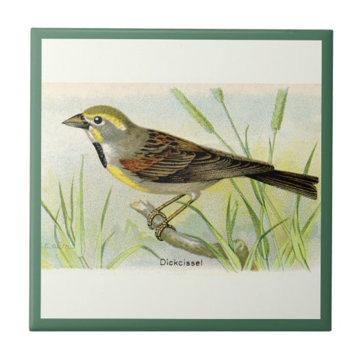 Die Keramik Dickissel Bird Fliese (Vorderseite)