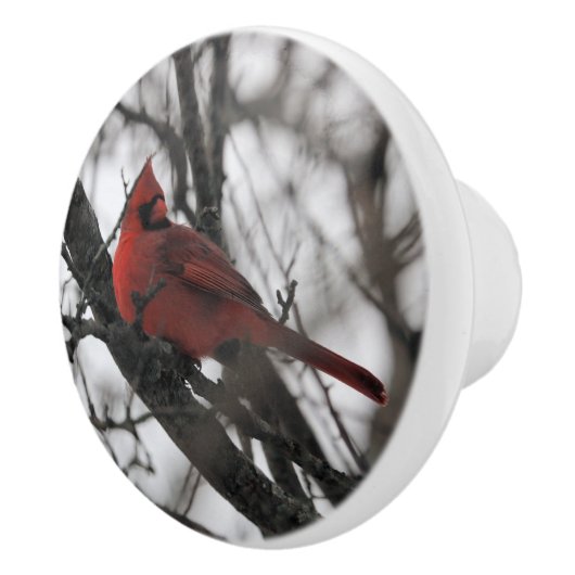 Die Keramikknauf (Rechts)