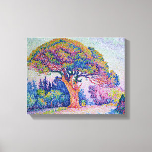 Die Kiefer in St Tropez, 1909 Leinwanddruck