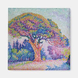 Die Kiefer in St Tropez, 1909 Magnet