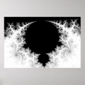 Die Kiefern Poster (Vorne)