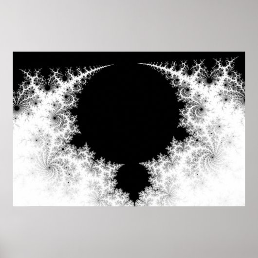 Die Kiefern Poster (Vorne)