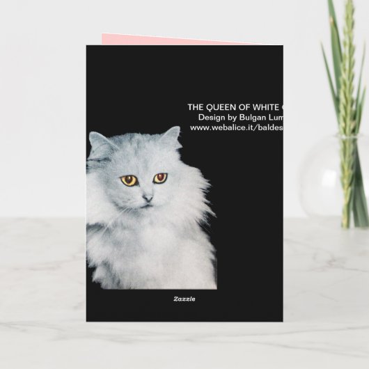 DIE KINDER DER WEISSEN KATZEN, MONOGRAM (Rückseite)