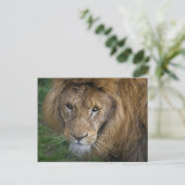 Die King Postcard Postkarte (Stehend Vorderseite)