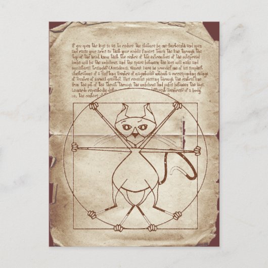 Die Kinky Vitruvian Kitty Postcard Postkarte (Vorderseite)