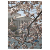 Die Kirsche blüht in Washington D.C. Klemmbrett (Rückseite)