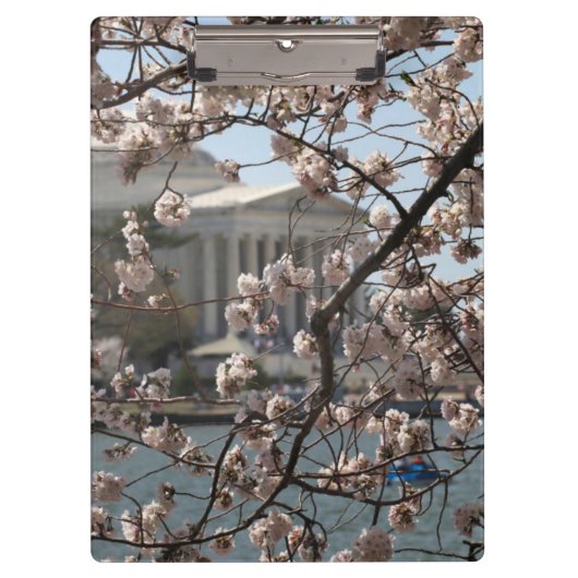 Die Kirsche blüht in Washington D.C. Klemmbrett (Vorderseite)