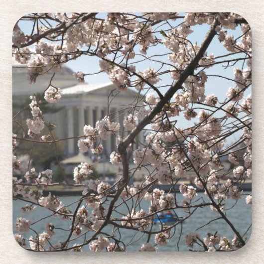 Die Kirsche blüht in Washington D.C. Untersetzer (Vorderseite)