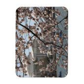Die Kirsche blüht in Washington DC Magnet (Vertikal)