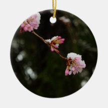 "Die Kirsche Hung mit Schnee sehen" - ein E