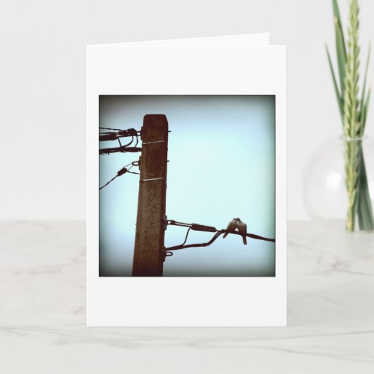 DIE KISS-Karte Feiertagskarte (Vorderseite)