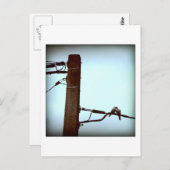 Die KISS-Postkarte Postkarte (Vorne/Hinten)