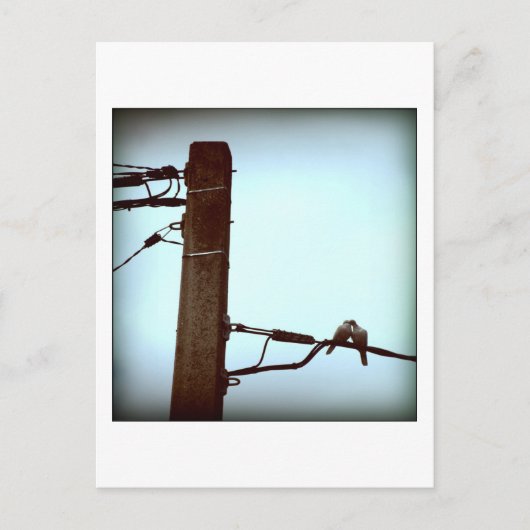 Die KISS-Postkarte Postkarte (Vorderseite)