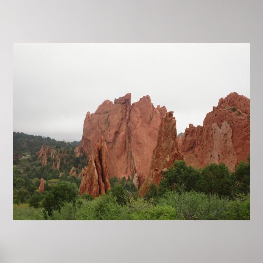 Die Kissing-Kamele im Garten der Götter Poster (Vorne)
