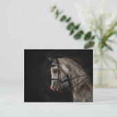 Die Klasse Arabiens Postkarte (Stehend Vorderseite)